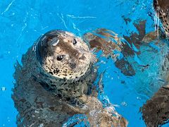 -石家庄市动物园