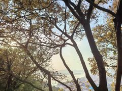 -云龙山