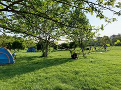 -艾溪湖湿地公园