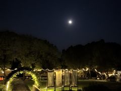 -动邦皮划艇·桨板·独木舟·团建户外运动俱乐部