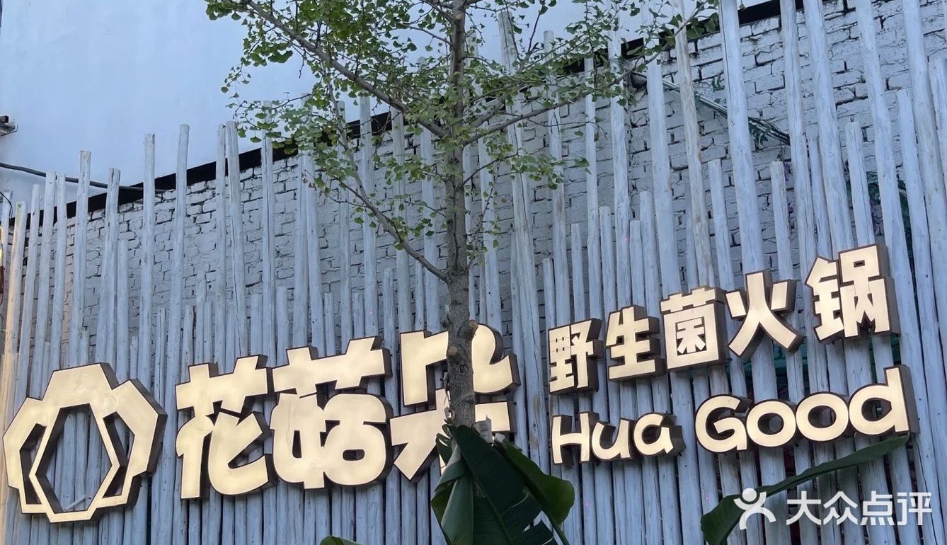 养生好汤