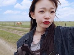 -贡格尔草原