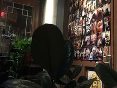 -百好乐宠物友好餐厅(朝外大街店)