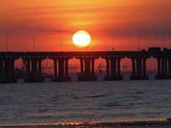 -宝安西湾红树林湿地公园