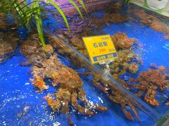 -79号渔船海鲜饭店(华强北店)