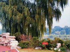 -万柳高尔夫俱乐部