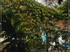 -姥家大锅台水库渔家
