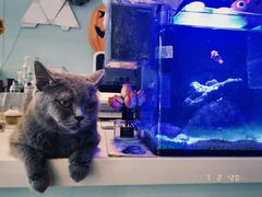 -平行世界·猫咖(首经贸店)