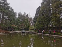 -庐山风景区花径公园