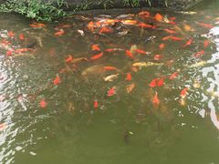 -花洲书院