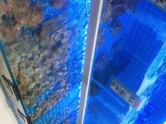 -悦海·家宴·冰花皮皮虾大锅贴(宝龙店)