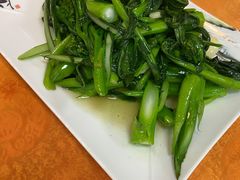 炒菜心-裕华(南华东路店)