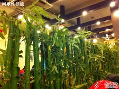 -太婆天府山珍酒楼(亚运村店)