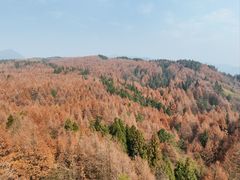 -山王坪喀斯特国家生态公园