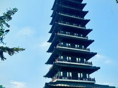 -宜兴龙背山森林公园