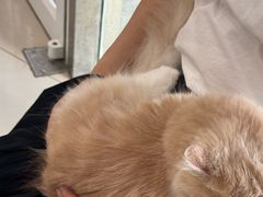 -艾贝尔宠物医院 ·中兽医·宠保定点(北门桥店)