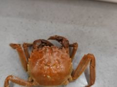 -仙螺岛海鲜自助餐厅(总店)