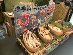 -季季山•云南野生菌火锅(上海首店)