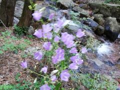 -沕沕水生态风景区
