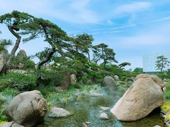 -罗红摄影艺术馆