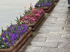 -莫愁湖公园