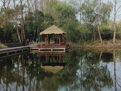 -溱湖国家湿地公园