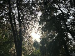 -泰山风景名胜区