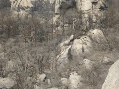 -崂山巨峰游览区