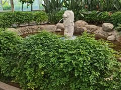 -南宫五洲植物乐园