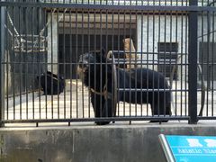 -广东茂名森林公园