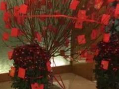 -翠园(铜锣湾广场店)