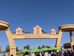 -金塔沙漠胡杨林景区