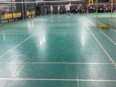 -东丽温泉羽毛球