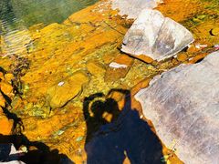 -花岩国家森林公园