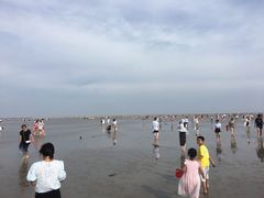 -奉贤海滩