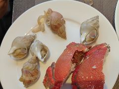 -大中华希尔顿酒店-念自助餐·海南美食·三文鱼