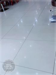 -金太子形象设计