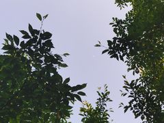 -阳澄湖半岛旅游度假区