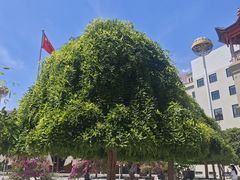 -东关清真大寺