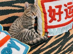 -ID.PHOTO照相馆(嘉里企业中心店)