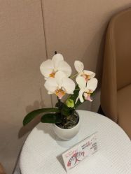 -广东韩妃整形外科医院