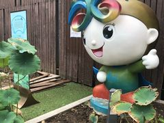 -陈家山荷花公园