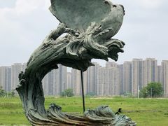 -洋湖国家湿地公园