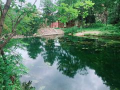 -大连天门山国家森林公园