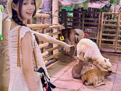 -正佳雨林生态植物园