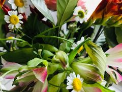 -ebeecake小蜜蜂蛋糕(酒仙桥店)