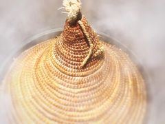 -咕嘟草帽鱼·牛奶一样的鲜鱼汤(包河万达广场创始店)