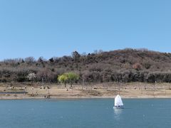 -羊山湖公园