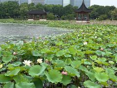 -朵云书院(滴水湖店)