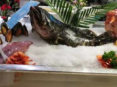 -339旋转餐厅(天府熊猫塔店)